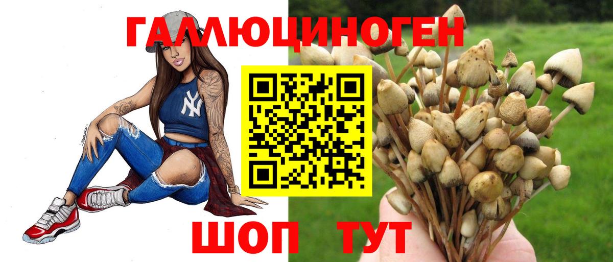 Псилоцибиновые грибы Magic Shrooms Санкт-Петербург