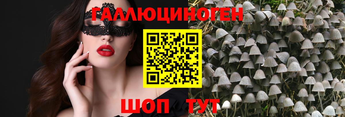 Санкт-Петербург  Псилоцибиновые грибы Cubensis  Вход с VPN  наркошоп  Псилоцибиновые грибы ЛСД 